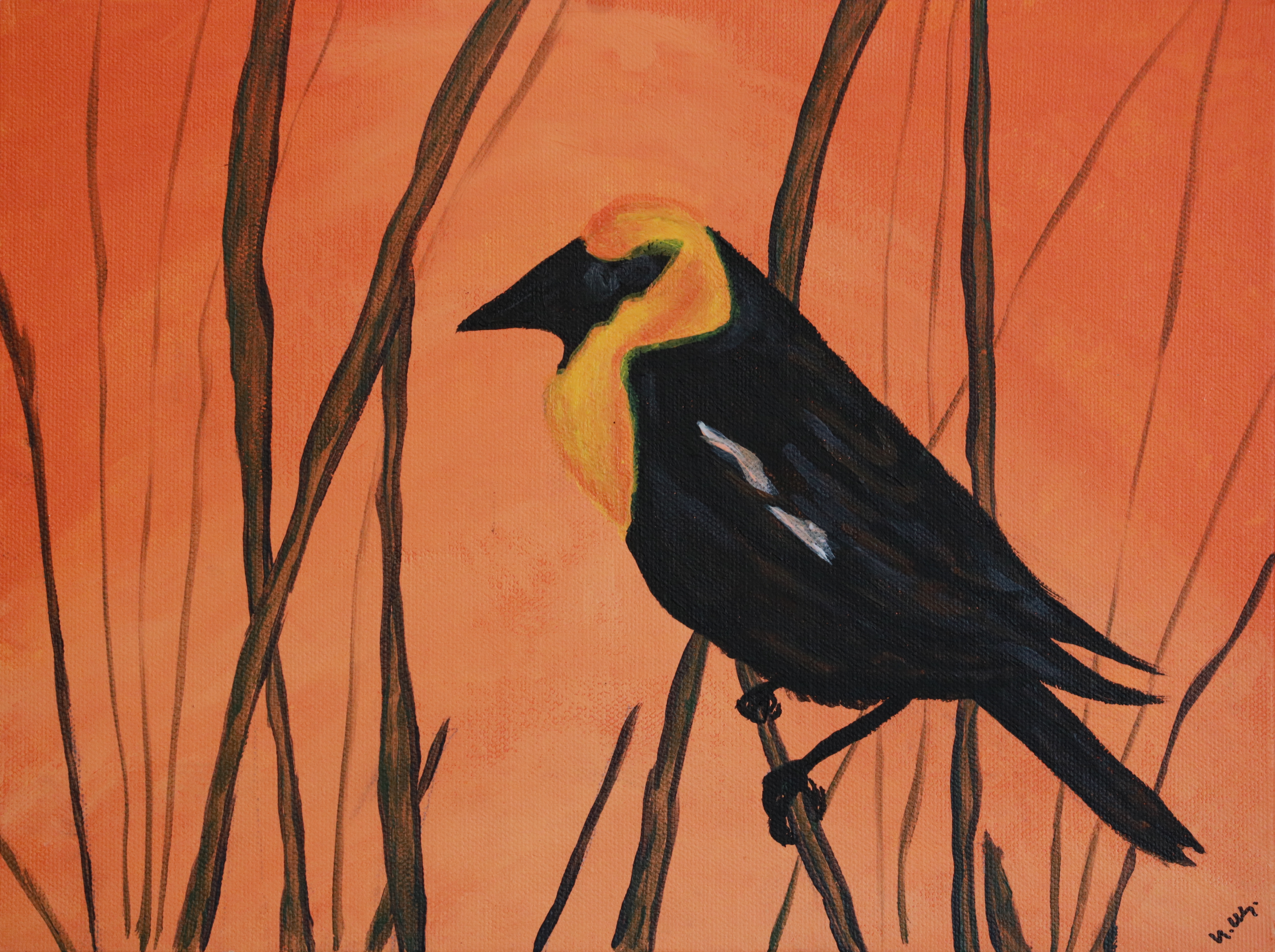 Blackbird
